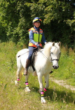 Rider in Hi-Viz tabard, on a white pony also wearing Hi-Viz leg bands.